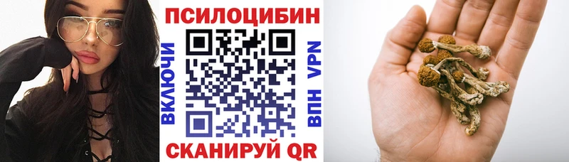 Галлюциногенные грибы прущие грибы  Барыш 